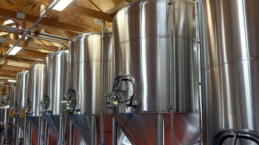 The Story Behind Flying Fox Brewing: Creativity Brewed, Fun Bottled