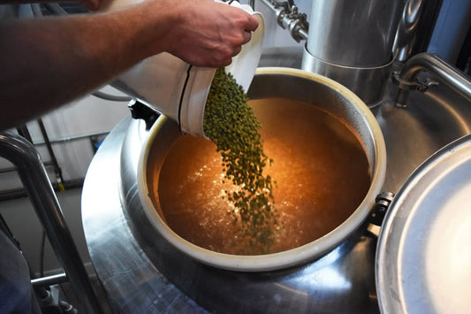 The Rise of Craft Beer Culture in India