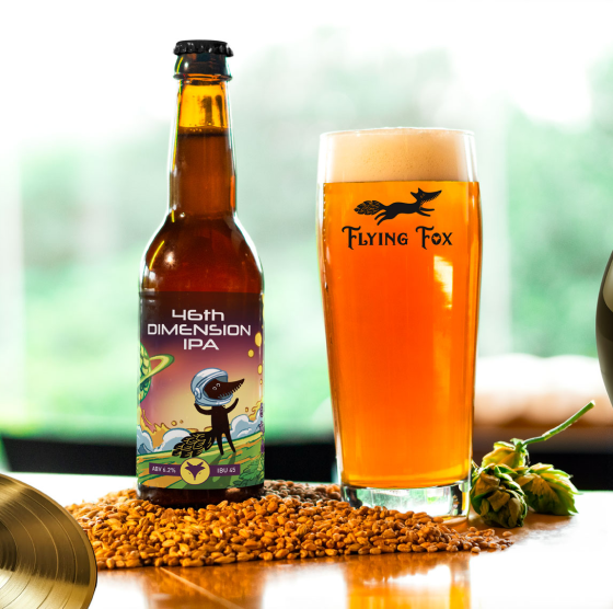 46th Dimension IPA collage 1