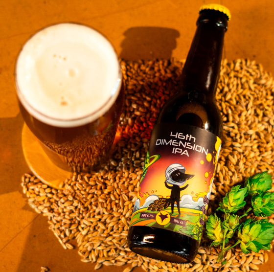 46th Dimension IPA collage 2